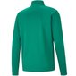 Meeste dressipluus P Puma teamRise Training Poly Jacket M 657392 05, roheline цена и информация | Spordiriided meestele | hansapost.ee