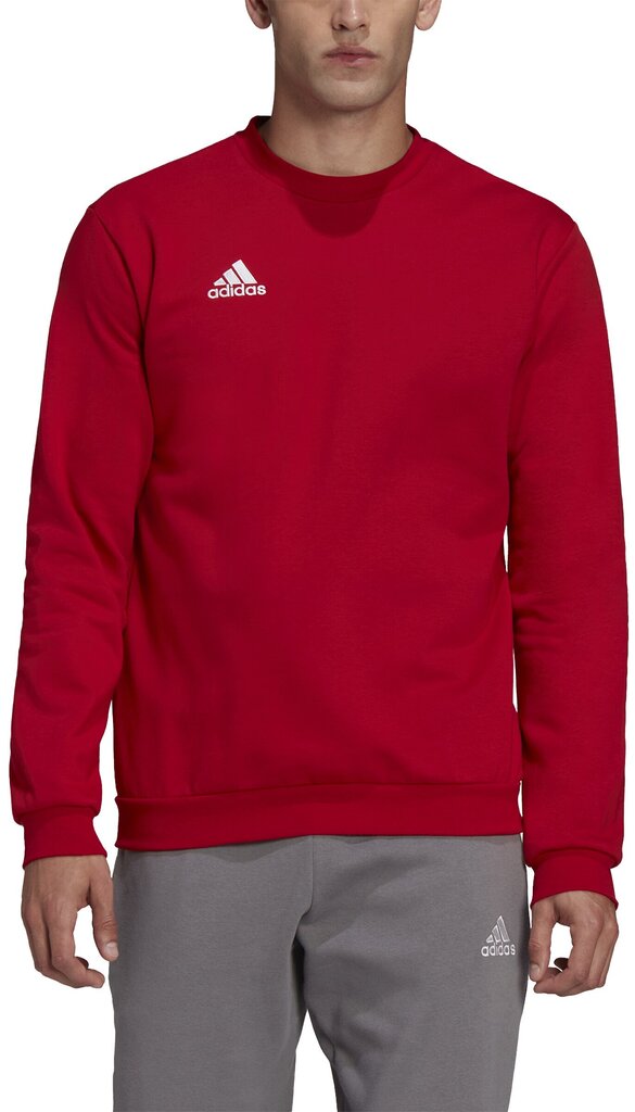 Adidas džemprid Ent22 Sweat Top Red HB0577 цена и информация | Spordiriided meestele | hansapost.ee