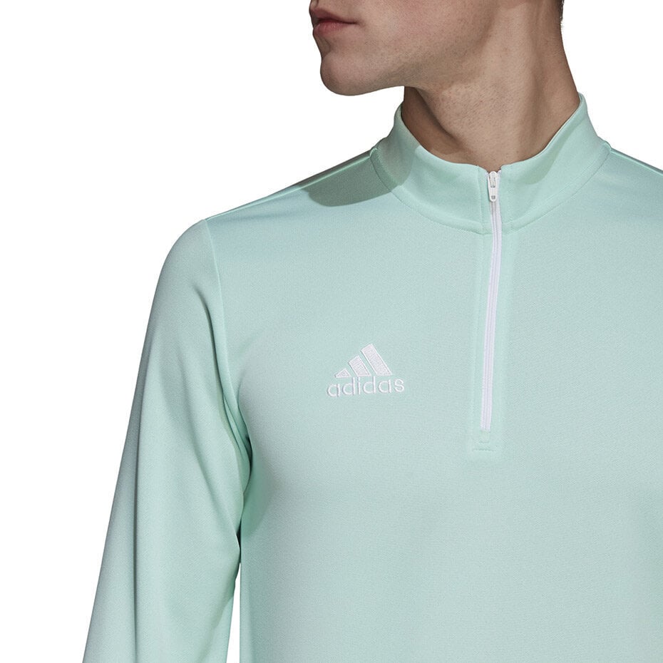 Meeste treeningsärk Adidas Entrada 22 HC5050, piparmündivärvid цена и информация | Spordiriided meestele | hansapost.ee