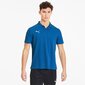 Meeste polosärk Puma teamGoal 23 656579-02 цена и информация | T-särgid meestele | hansapost.ee