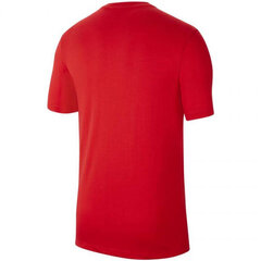 Мужская футболка Nike Dri Fit Park M Tee CW6936657, красная цена и информация | Мужские футболки | hansapost.ee