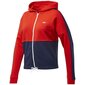 Kapuutsiga dressipluus naistele Reebok Te Linear Logo Ft W FT0901 цена и информация | Pusad naistele | hansapost.ee