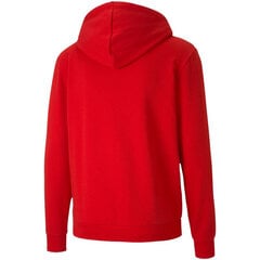 Мужской джемпер Puma TeamGoal 23 Casuals Hooded Jacket M 656708 01, красный цена и информация | Мужские джемперы | hansapost.ee