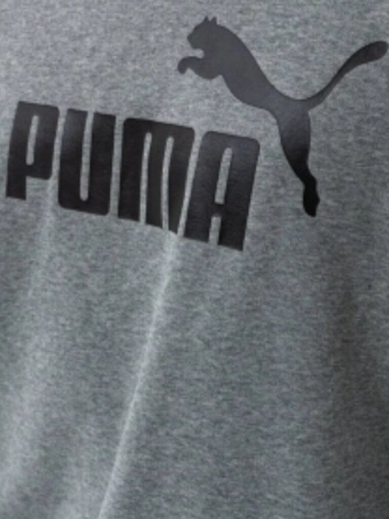 Puma Džemprid Ess Big Logo, hall 586678 03 hind ja info | Pusad meestele | hansapost.ee