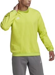 Adidas Джемпер Ent22 Sw Top Yellow HC5049 HC5049/XL цена и информация | Мужские толстовки | hansapost.ee