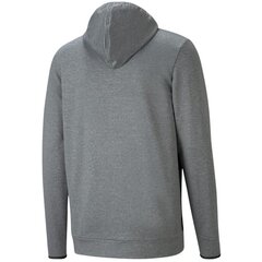 Meeste dressipluus Puma RTG Hoodie M, hall hind ja info | Pusad meestele | hansapost.ee