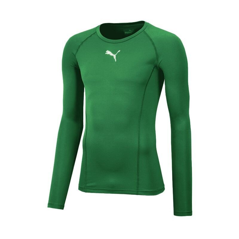 Meeste termopesu Puma Liga Baselayer Tee LS 655920 05 hind ja info | Soe pesu meestele | hansapost.ee