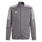 Laste sportlik dressipluus Adidas Tiro 21 Track Jr GM7311, hall цена и информация | Kampsunid, vestid ja jakid poistele | hansapost.ee