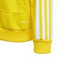 Laste dressipluus Adidas Squadra 21 Hoody Youth Jr, GP6431, kollane hind ja info | Kampsunid, vestid ja jakid poistele | hansapost.ee