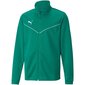 Laste dressipluus Puma teamRise Training Poly Jacket Jr 657393 05, roheline цена и информация | Kampsunid, vestid ja jakid poistele | hansapost.ee