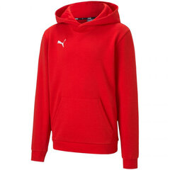 Hüppaja lastele Puma teamGOAL 23 Casuals Hoody Jr punane 656711 01 hind ja info | Kampsunid, vestid ja jakid poistele | hansapost.ee