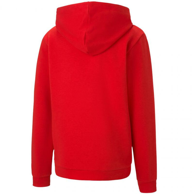 Hüppaja lastele Puma teamGOAL 23 Casuals Hoody Jr punane 656711 01 цена и информация | Kampsunid, vestid ja jakid poistele | hansapost.ee