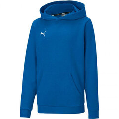 Lastehüppaja Puma teamGOAL 23 Casuals Hoody Jr sinine 656711 02 hind ja info | Kampsunid, vestid ja jakid poistele | hansapost.ee