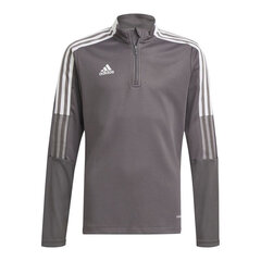 Džemper poistele Adidas Tiro 21 Jr GM7321, hall price and information | Sweaters, vests and jackets for boys | hansapost.ee