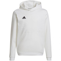 Kampsun lastele Adidas, valge price and information | Sweaters, vests and jackets for boys | hansapost.ee