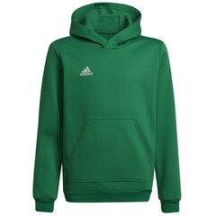 Джемпер для детей Adidas Entrada 22 Hoody Y Jr HI2143, зеленый цена и информация | Свитеры, жилетки, пиджаки для мальчиков | hansapost.ee