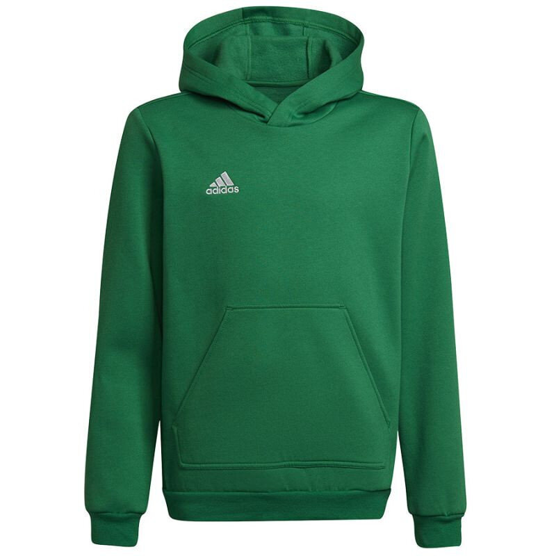 Dressipluus lastele Adidas Entrada 22 Hoody Y Jr HI2143, roheline hind ja info | Kampsunid, vestid ja jakid poistele | hansapost.ee