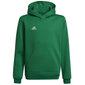 Dressipluus lastele Adidas Entrada 22 Hoody Y Jr HI2143, roheline hind ja info | Kampsunid, vestid ja jakid poistele | hansapost.ee