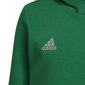 Dressipluus lastele Adidas Entrada 22 Hoody Y Jr HI2143, roheline цена и информация | Kampsunid, vestid ja jakid poistele | hansapost.ee