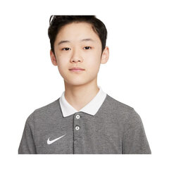 T-särk lastele Nike Park 20 Polo Jr CW6935071, hall price and information | Shirts for boys | hansapost.ee