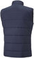 Puma Vest TeamLiga Vest Jacket Navy 657968 06 657968 06/L цена и информация | Vestid meestele | hansapost.ee