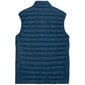 Naiste vest 4F hind ja info | Vestid naistele | hansapost.ee