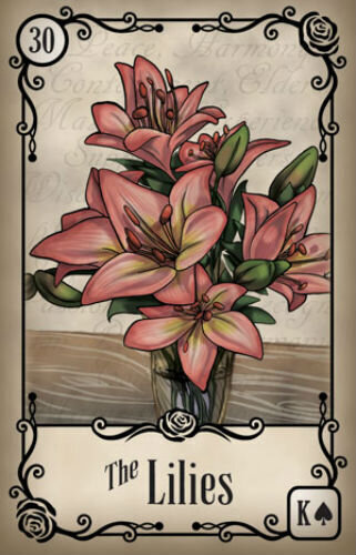 Taro kaardid The Roses Lenormand hind ja info | Esoteerika | hansapost.ee