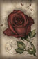 Taro kaardid The Roses Lenormand hind ja info | Esoteerika | hansapost.ee