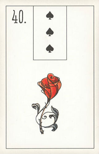 Taro kaardid Maybe Lenormand hind ja info | Esoteerika | hansapost.ee