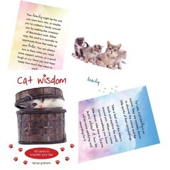 Taro kaardid Cat Wisdom hind ja info | Esoteerika | hansapost.ee