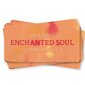 Taro kaardid Enchanted Soul цена и информация | Esoteerika | hansapost.ee