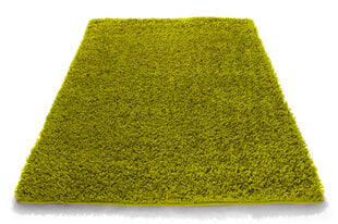 Vaip Shaggy Green, 160x220 cm hind ja info | Vaibad | hansapost.ee