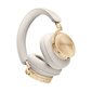 Bang & Olufsen Beoplay H95 Gold Tone hind ja info | Kõrvaklapid | hansapost.ee