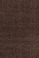 Vaip Ayyildiz Shaggy Dream Brown 4000, 65x130 cm цена и информация | Vaibad | hansapost.ee