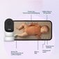 Mobiilne beebimonitor Owlet Cam Dream Sock, roheline цена и информация | Beebimonitorid | hansapost.ee