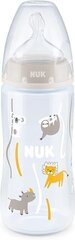 Pudel Nuk 527900, 6-18 kuud, 300 ml price and information | Lutipudelid ja tarvikud | hansapost.ee