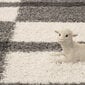 Ayyildiz vaip Shaggy Gala Light Grey 2505, 120x170 cm hind ja info | Vaibad | hansapost.ee