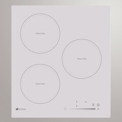 Allenzi PI 40 price and information | Pliidiplaadid | hansapost.ee