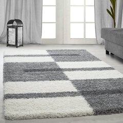 Vaip Ayyildiz Shaggy Gala Light Grey 2505, 240x340 cm hind ja info | Vaibad | hansapost.ee