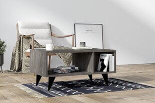 Kohvilaud, Asir, 80x40x50cm, hall price and information | Coffee tables | hansapost.ee