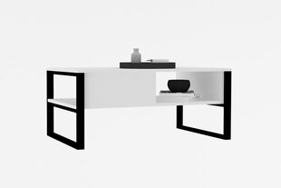 Кофейный столик Asir, 100x60x44 см, белый цена и информация | Журнальные столики | hansapost.ee