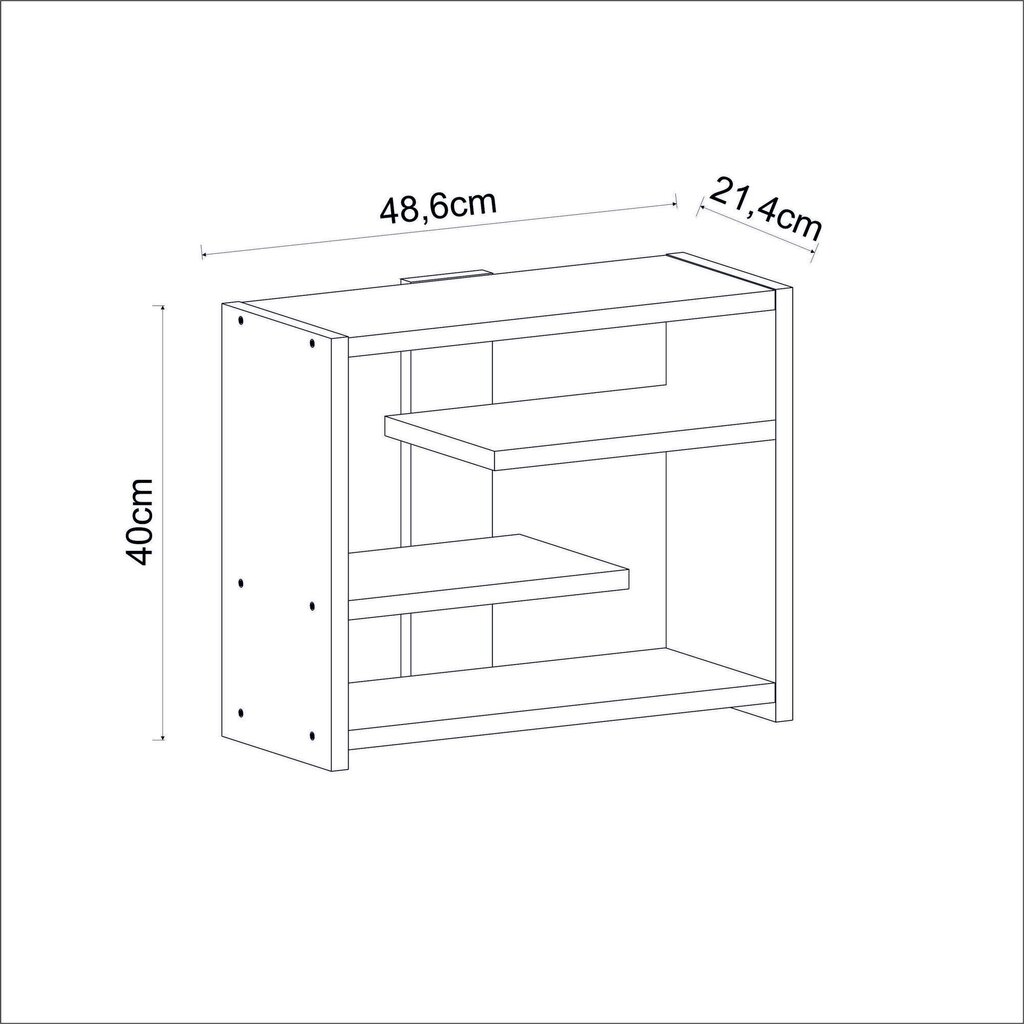 Seina riiul Asir, 48,6x40x21,4 cm, hall hind ja info | Riiulid | hansapost.ee