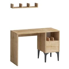 Kirjutuslaud Asir, 74x100x45 cm, pruun price and information | Computer desks, writing desks | hansapost.ee