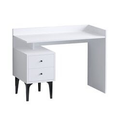 Kirjutuslaud Asir, 100x80x45 cm, valge price and information | Computer desks, writing desks | hansapost.ee