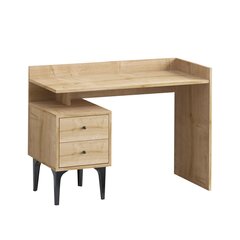 Kirjutuslaud Asir, 100x80x45 cm, pruun price and information | Computer desks, writing desks | hansapost.ee