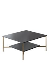 Kohvilaud, Asir, 80 x 80 x 40 cm, must price and information | Coffee tables | hansapost.ee