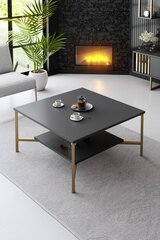 Kohvilaud, Asir, 80 x 80 x 40 cm, must price and information | Coffee tables | hansapost.ee