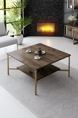 Kohvilaud, Asir, 80 x 80 x 40 cm, pruun price and information | Coffee tables | hansapost.ee