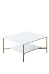 Kohvilaud, Asir, 80 x 80 x 40 cm, valge price and information | Coffee tables | hansapost.ee