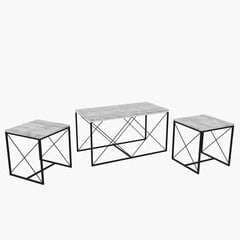 Diivanilaua komplekt Asir, 100x52x50cm, helehall price and information | Coffee tables | hansapost.ee